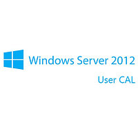 WinSvrCAL 2012 SNGL OLP NL UserCAL