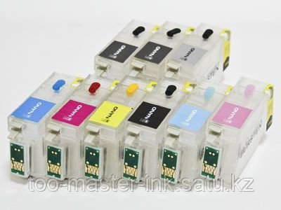 ДЗК T1571-1579 for Eps R3000 without ink with chip