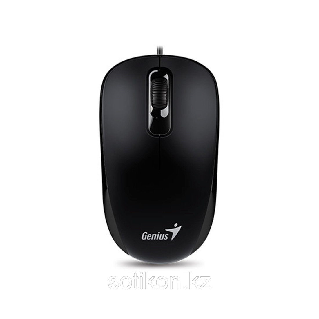 Компьютерная мышь Genius DX-110 Black