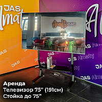Аренда телевизора 100" дюймов (254см) в Алматы4
