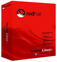Red Hat Cluster Suite (С техподдержкой на русском языке)