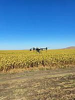 Химическая обработка полей агродронами DJI (предпосевная обработка)4