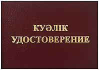 Электробезопасность1