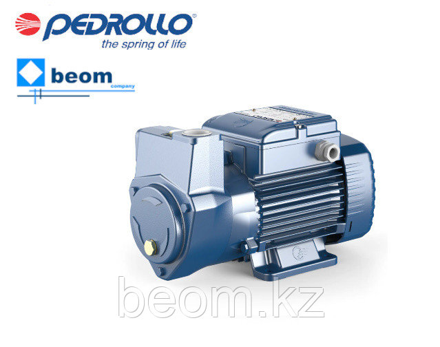 Самовсасывающий насос Pedrollo CKm 50BP с байпасом (0.25кВт | 220В | от 0 до 2.4 м3/час | от 5 до 20 м Напор)