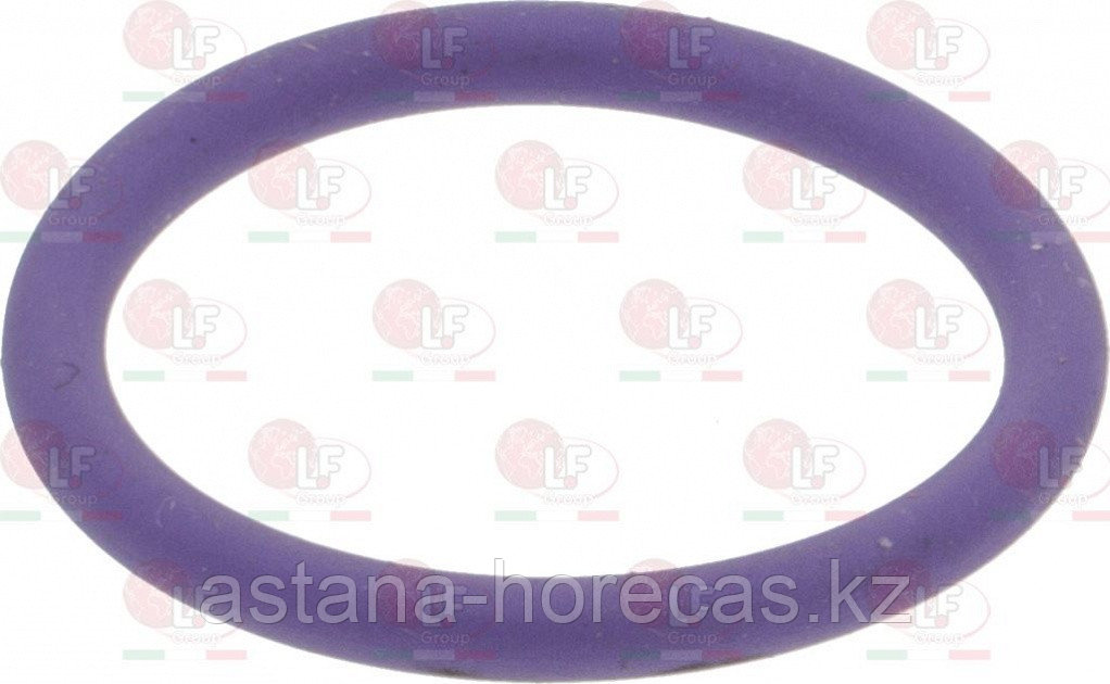 Прокладка OR 02062 EPDM-FDA 08603500 Futurmat
