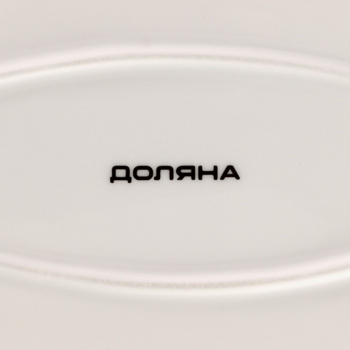 Блюдо Доляна «Млечный путь», 29.5×17.5 см, фарфор, белая в крапинку
