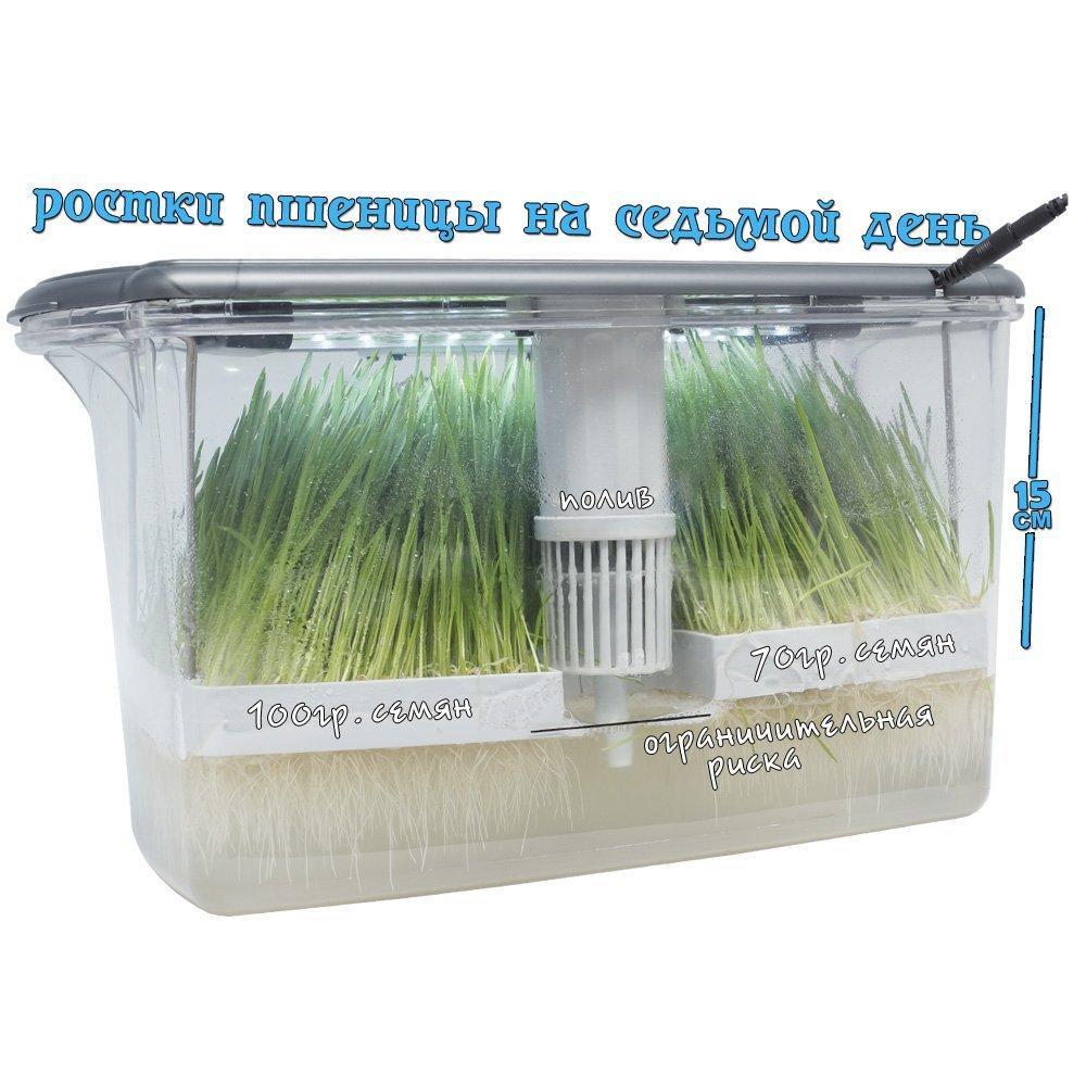 RAWMID Микроферма RAWMID Dream Sprouter SDM-02 прозрачная (проращиватель и выращиватель)