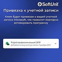 Microsoft Project 2019 Professional (ключ активации / бессрочная версия / русский язык)3