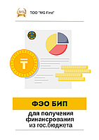 Разработка ФЭО (Финансово-экономическое обоснование)