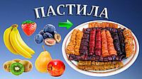 Поддон для пастилы сушилка Ветерок 2