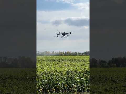 Химическая обработка полей агродронами DJI (предпосевная обработка)