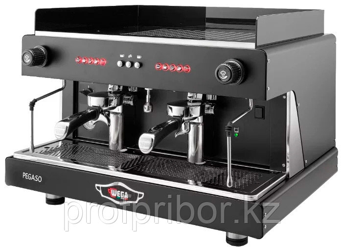 Рожковая кофемашина Wega Pegaso EVD2 PG черная