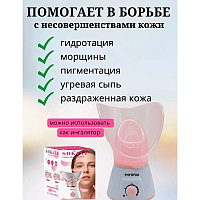 Сауна для лица, вапоризатор, ингалятор2