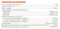 Аккумулятор Delta GX 12-100 (12В, 100Ач)3
