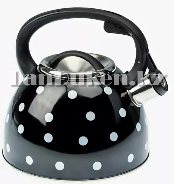 Чайник со свистком Riwendell 2,5L (черный в горошек) GS-04016F