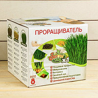 Проращиватель аэросад