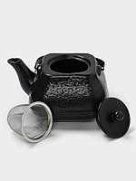 Чайник заварочный с ситом 0,85 л, Magistro Black Swan, черный1