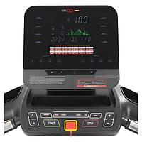 Беговая дорожка профессиональная CardioPower PRO CT1009