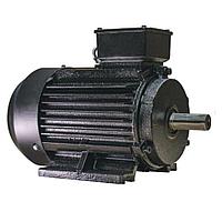 Электродвигатель ESQ RW 180 M4-GST-S12-H 30/1500 IM2001