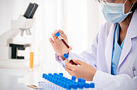 Остеокальцин (Костный Gla белок) (Оsteocalcin, N-Osteocalcin, Bone Gla Protein, BGP)