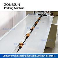 ZONESUN ZS-ZB250S горизонтальная упаковочная машина3