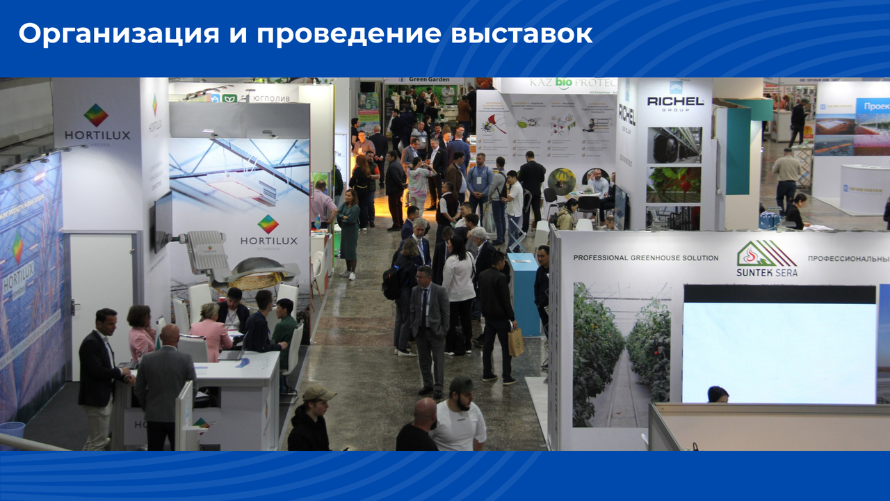 Организация выставок и конференций