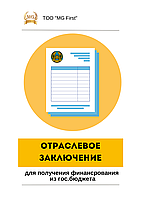 Отраслевое заключение