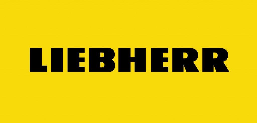 ГОЛОВКА БЛОКА ЦИЛИНДРОВ LIEBHERR D924 / D926 (9276891)