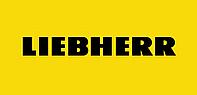 ГОЛОВКА БЛОКА ЦИЛИНДРОВ LIEBHERR D924 / D926 (9276891)