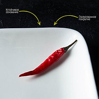 Блюдо прямоугольное Доляна White Label, 24,5×15,5 см, фарфор, цвет белый5