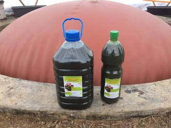 Биогазовые установки для производства газа, электричества, удобрения
