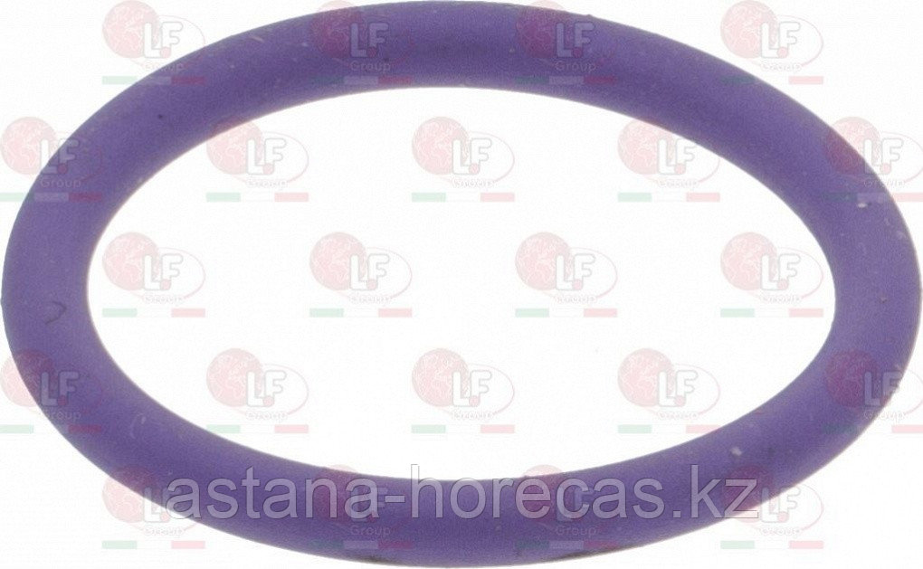 Прокладка OR 02062 EPDM-FDA 5092649 Visacrem