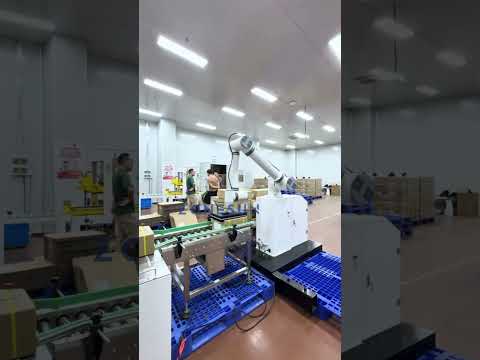 Автоматическая роботизированная паллетоукладочная машина ZONESUN ZS-MD20A7