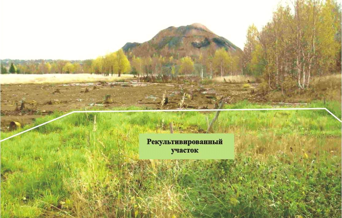 Составление проекта рекультивации нарушенных земель