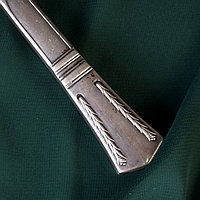 Вилка для сервировки рыбного блюда4