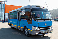 Автомобильные пассажирские перевозки3