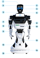 Робот-консультант Promobot V.41