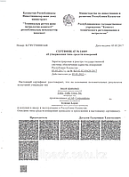 Весы крановые CAS Caston 0,5 THA, подвесные с крюком кастон до 500 кг3