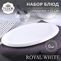Блюдо Овальное 25 см Royal White TU0216-2 (набор 6шт) TUDOR