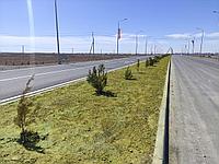 Гидропосев газона2