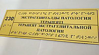 Тактильные таблички, пиктограммы, мнемосхемы с шрифтом брайля