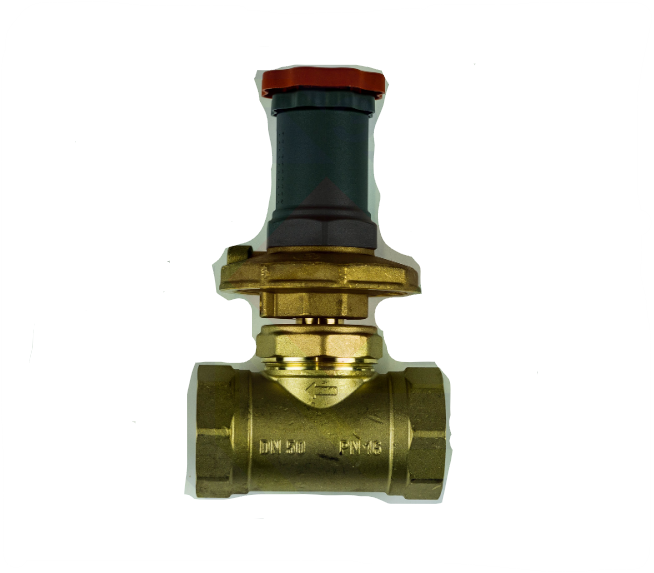 Регулятор перепада давления GIACOMINI R206C DN 50