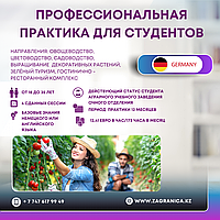 Германия: профессиональная практика для студентов очного отделения