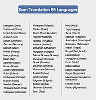 Голосовой переводчик-сканер ReVizorro® Birgus AI translator5